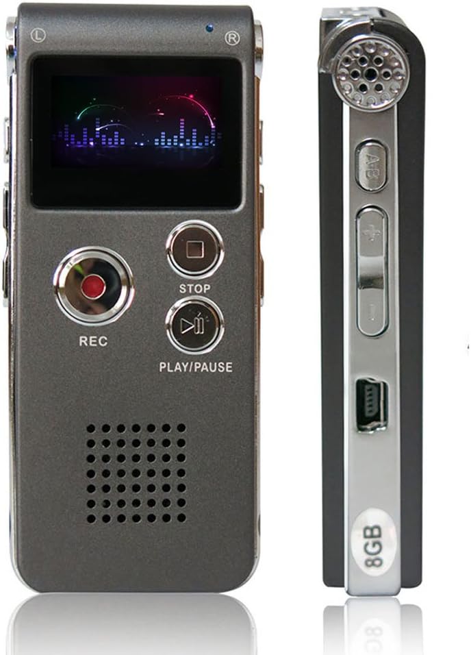 Digital Audio Voice Recorder by ROCSUN, Portable Multifunctional Rechargeable Dictaphone, MP3 Music Player, 8GB Memory Internal, USB Port, Dual Microphone, Professional Dynamic Noise Reduction (Gray)