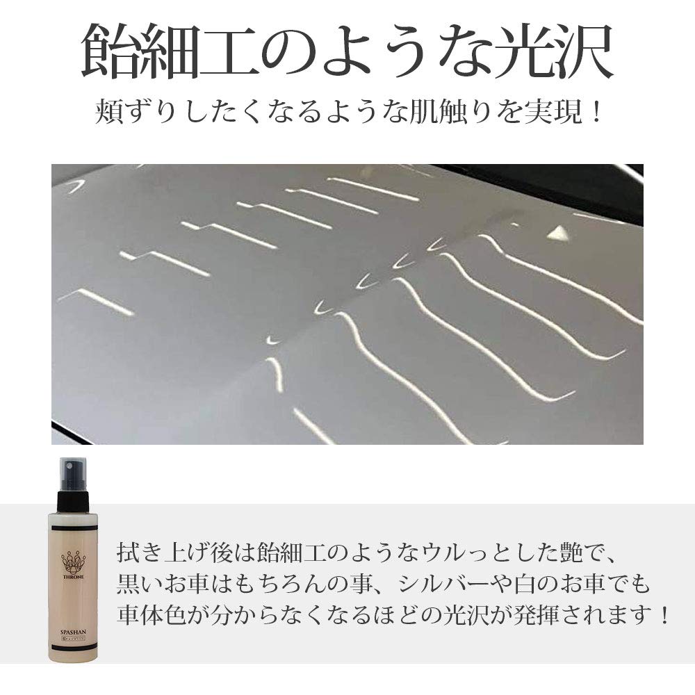 Amazon.co.jp: スパシャン SPASHAN スローンスプレー 150ml (光沢