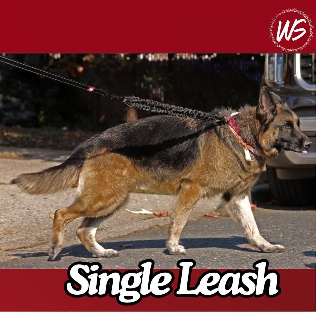 3-in-1-Mehrzweck-Leine, stoßdämpfend, kein Verheddern, für kleine bis große Hunde, 2,3 - 59 kg, ideal für Haustierbesitzer und Spaziergänger