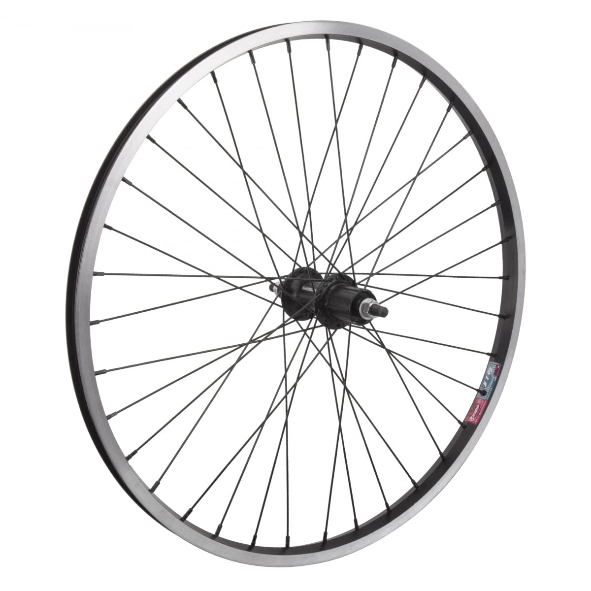 Amazon.com : WheelMaster WHL RR 24x1.75 507x19 WEI 519 BK MSW 36