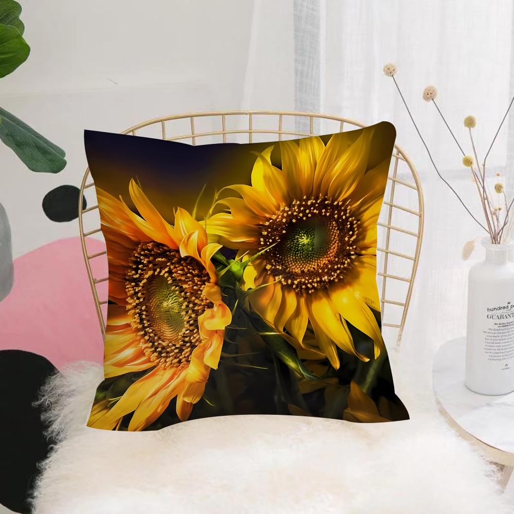 HYOSXW Cushion Cover,Throw Pillow Case Home Decorative for Living Room Bedroom Sofa Chair 16X16 Inch,Close-up of sunflowers under the golden warm sun,Pillowcase 40X40cm