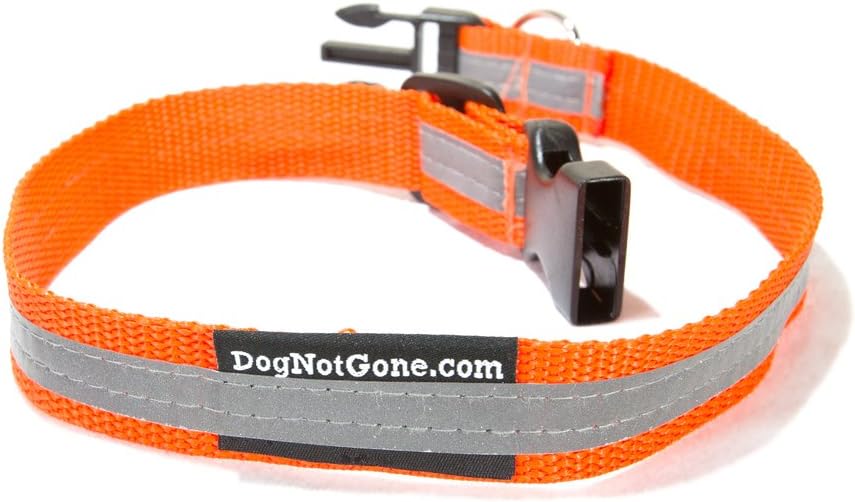 Dog Not Gone Visibility Products Reflective Collar, Large