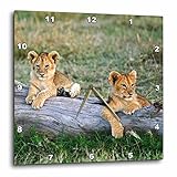 3dRose DPP_73042_1 Lion Cubs on Log, Panthera Leo, Masai Mara, Kenya-AF21AJE0195-Adam Jones-Wall...