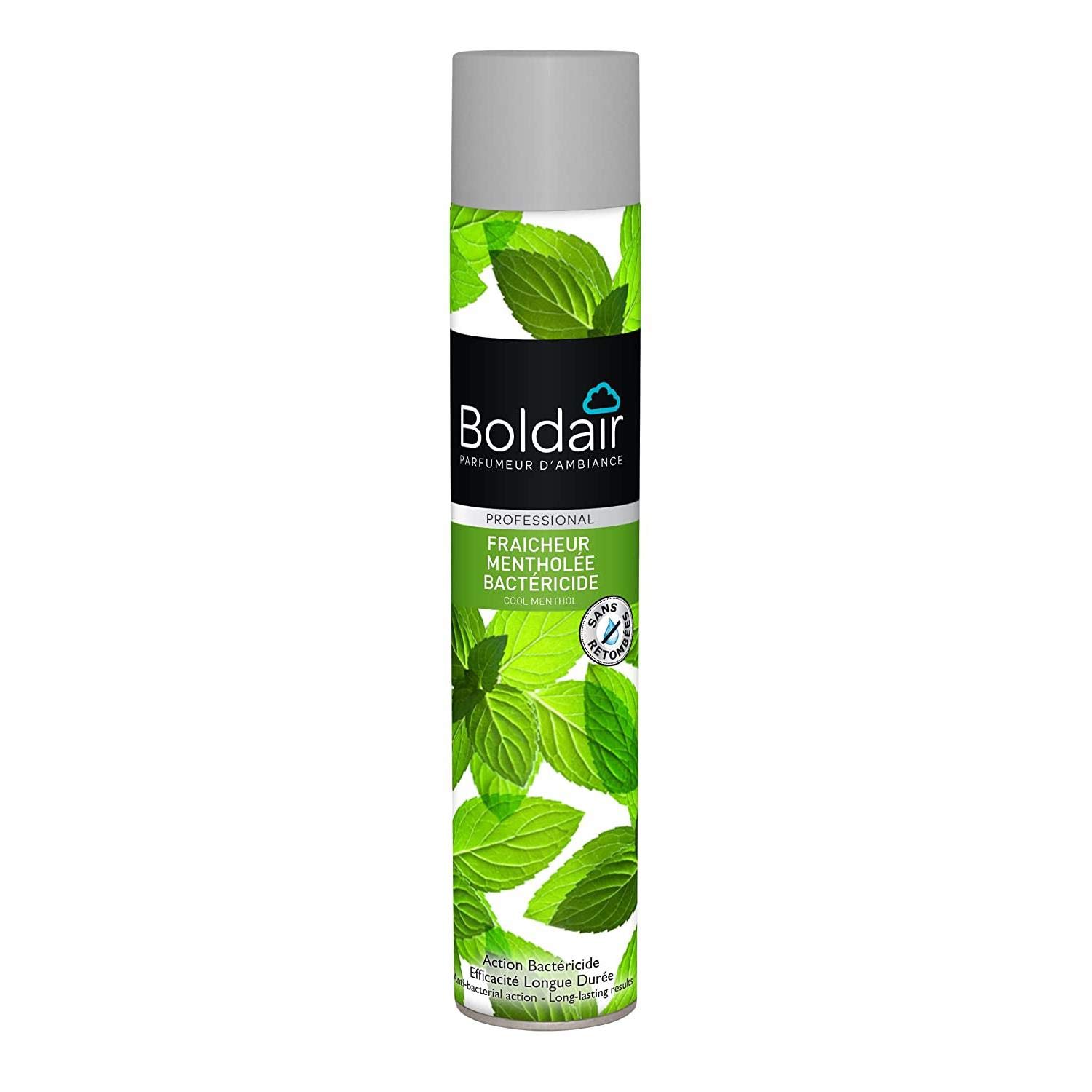 BOLDAIR Désodorisants Bactéricide Fraiche Menthe - Lot de 3