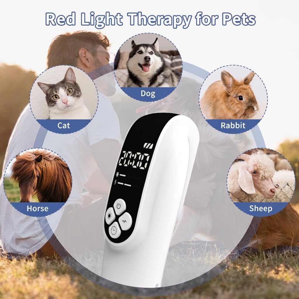 2-in-1 Red Light Therapy Device with Adjustable Strap, Dual Modes, Hands-Free Design for Daily Comfort