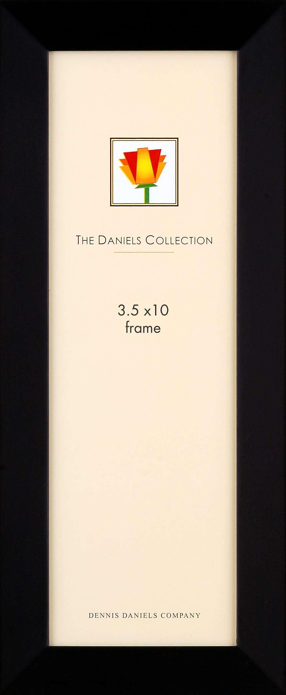Classic Styling in Ebony-Black Panoramic by Dennis Daniels - 3.5x10