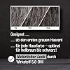 Alpecin Gray Attack Caffeine & Color Shampoo – 2 x 200 ml – Gradually Darker and Stronger Hair – Controlled and Natural Color Result – Against Hair Loss