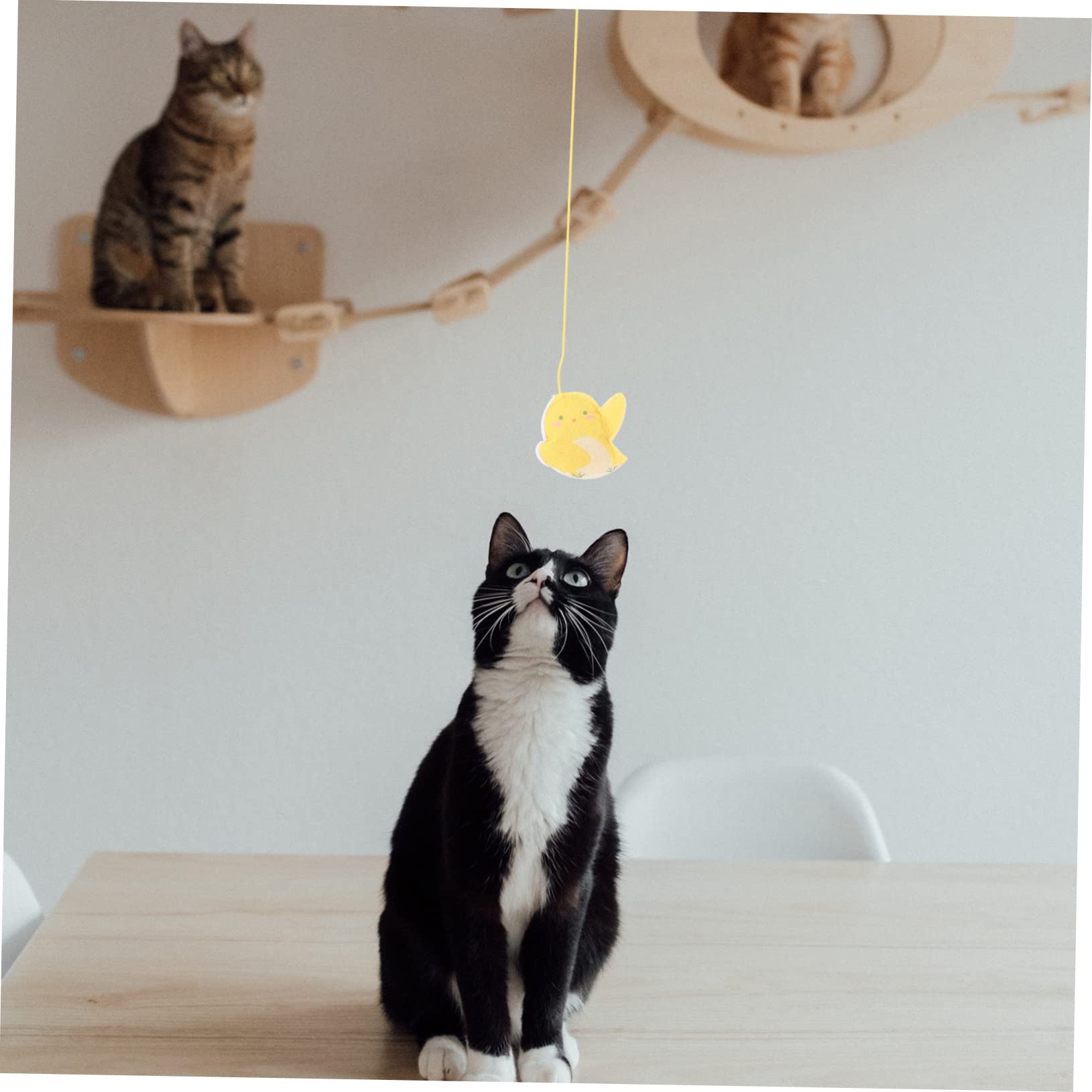 VANZACK 20stücke Katzen-spielzeugset Teiliges Türhängendes Kätzchen Spielzeug Selbstunterhaltungs-Rope Teaser Für Katzen Interaktives Katzenspielzeug Neugier Und Bewegung Sicher Und