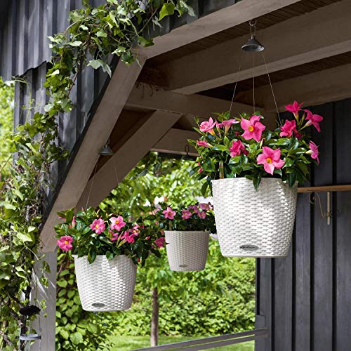 Lechuza 15106 Nido Cottage 28 Self-Watering Planter For Indoor And Outdoor Use, 11" X 9", Sand Brown, Wicker Finish #TOP5