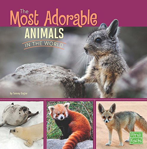 The Most Adorable Animals in the World (All About Animals)