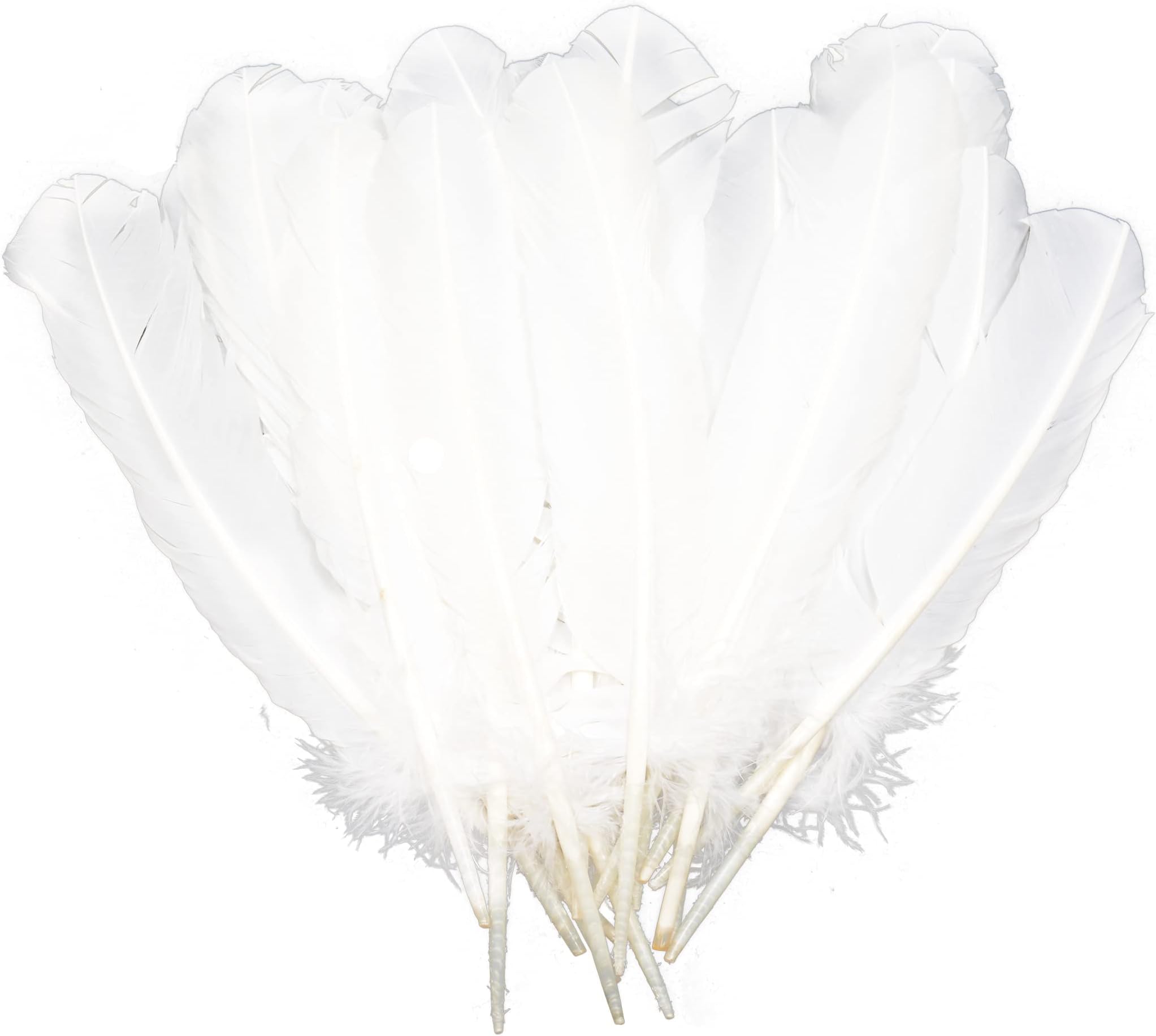 Handy Lidy 20pcs 10-12" Turkey Feather Round Wing Quill for DIY Art Accessories Halloween Party Decoration Wedding Costumes-White