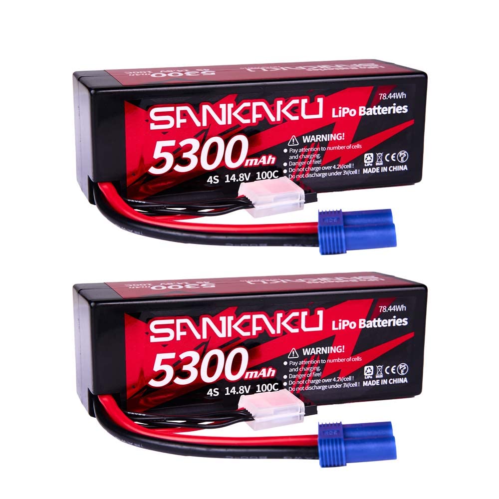 2PCS Batterie Rechargeable AA 6.0V 800mAh SM-2P Pour Voiture RC + Câbles USB - DOUBLE E, BEZGAR, Seckton