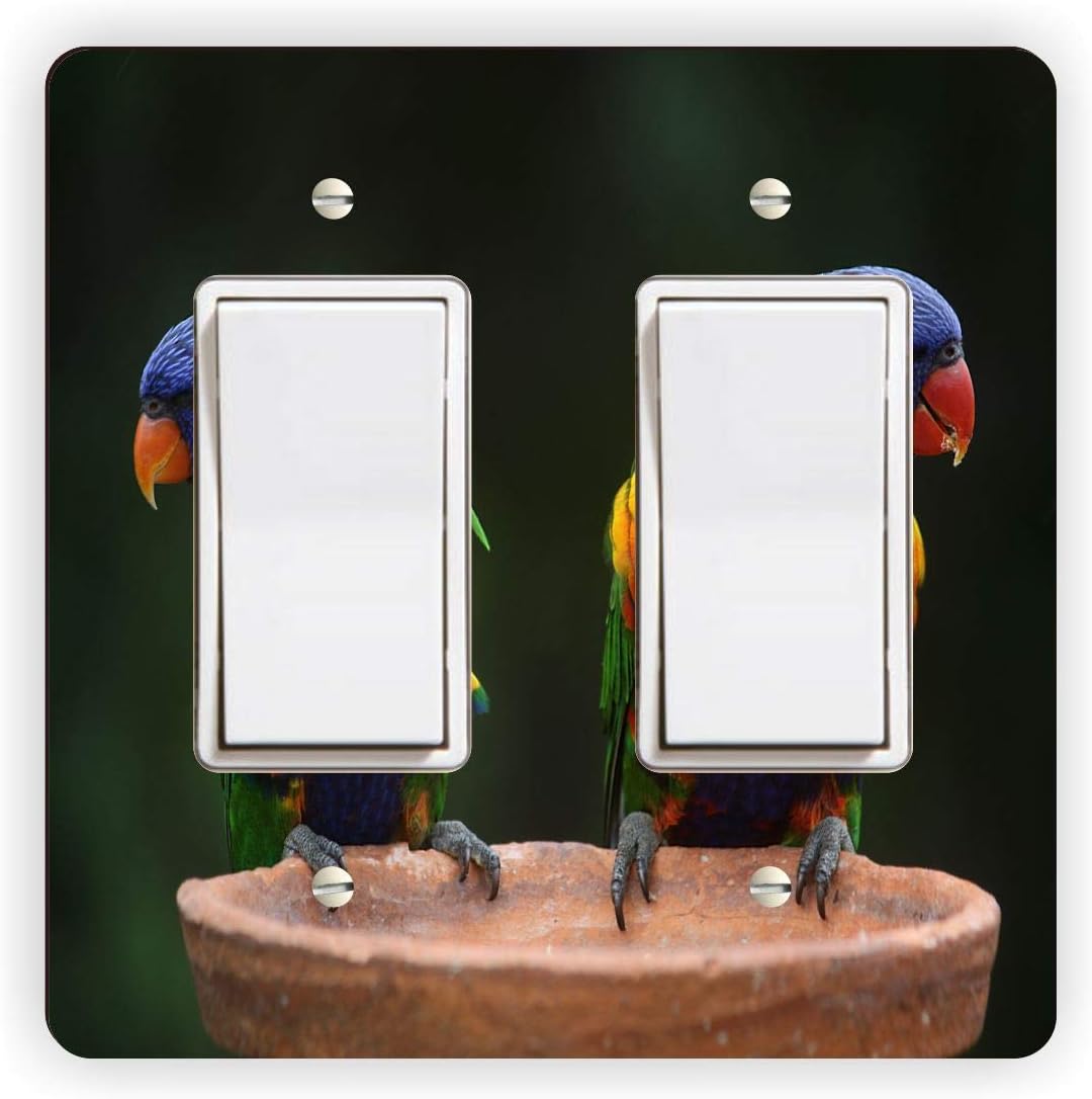 Rainbow Parrots Vivid Colors - Double Rocker Light Switch Cover - Double Rocker Switch Plate