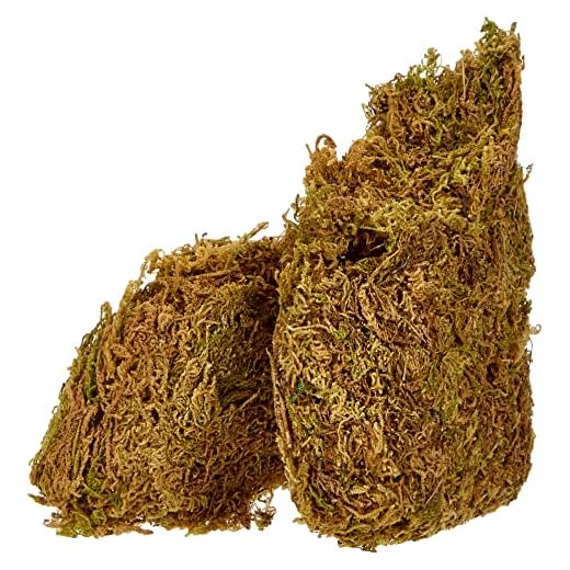 Glorex 304-Espuma De Placa (30 G), Color Verde, 30G (6 2220 304)