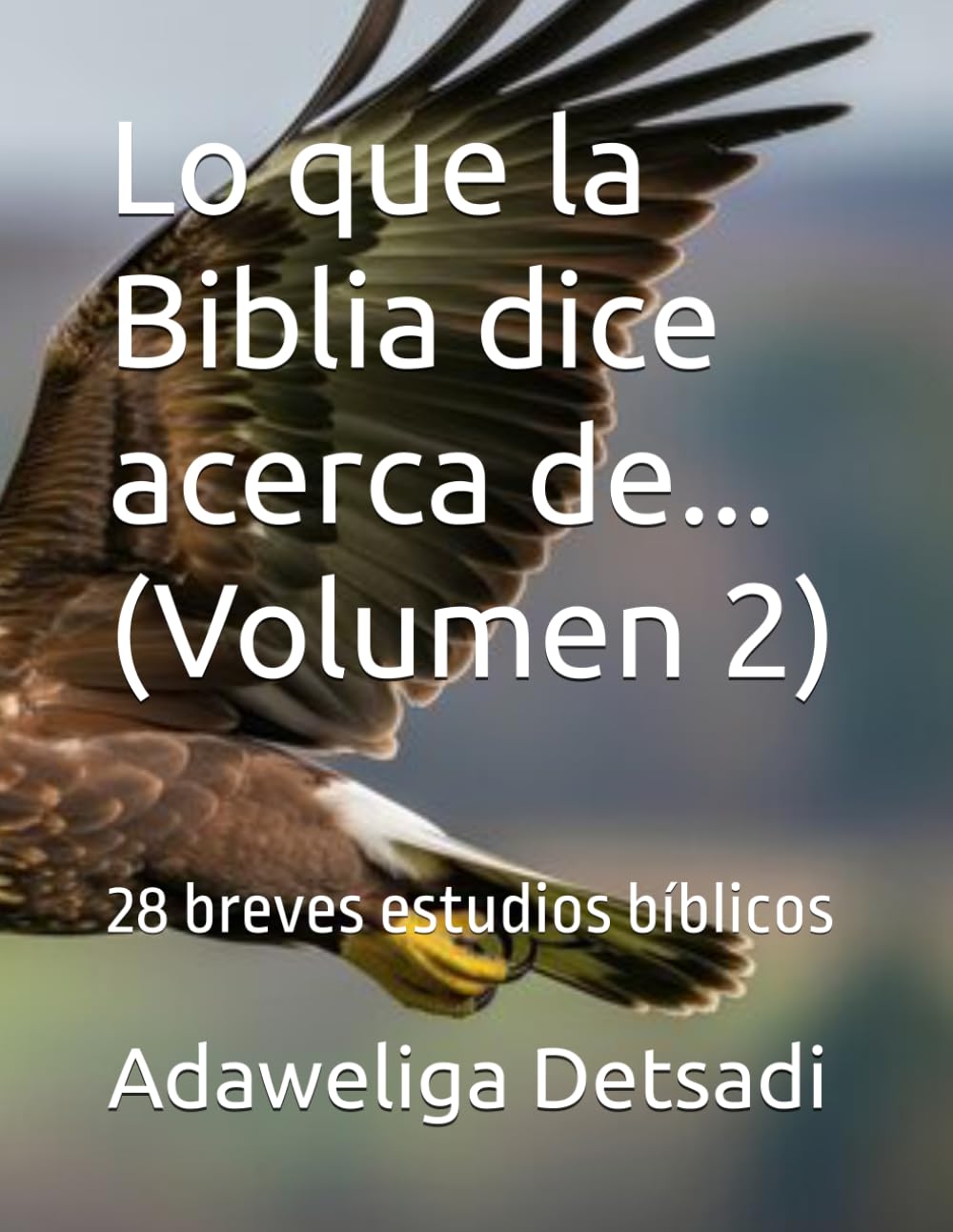 Lo que la Biblia dice acerca de... (Volumen 2): 28 breves estudios bíblicos