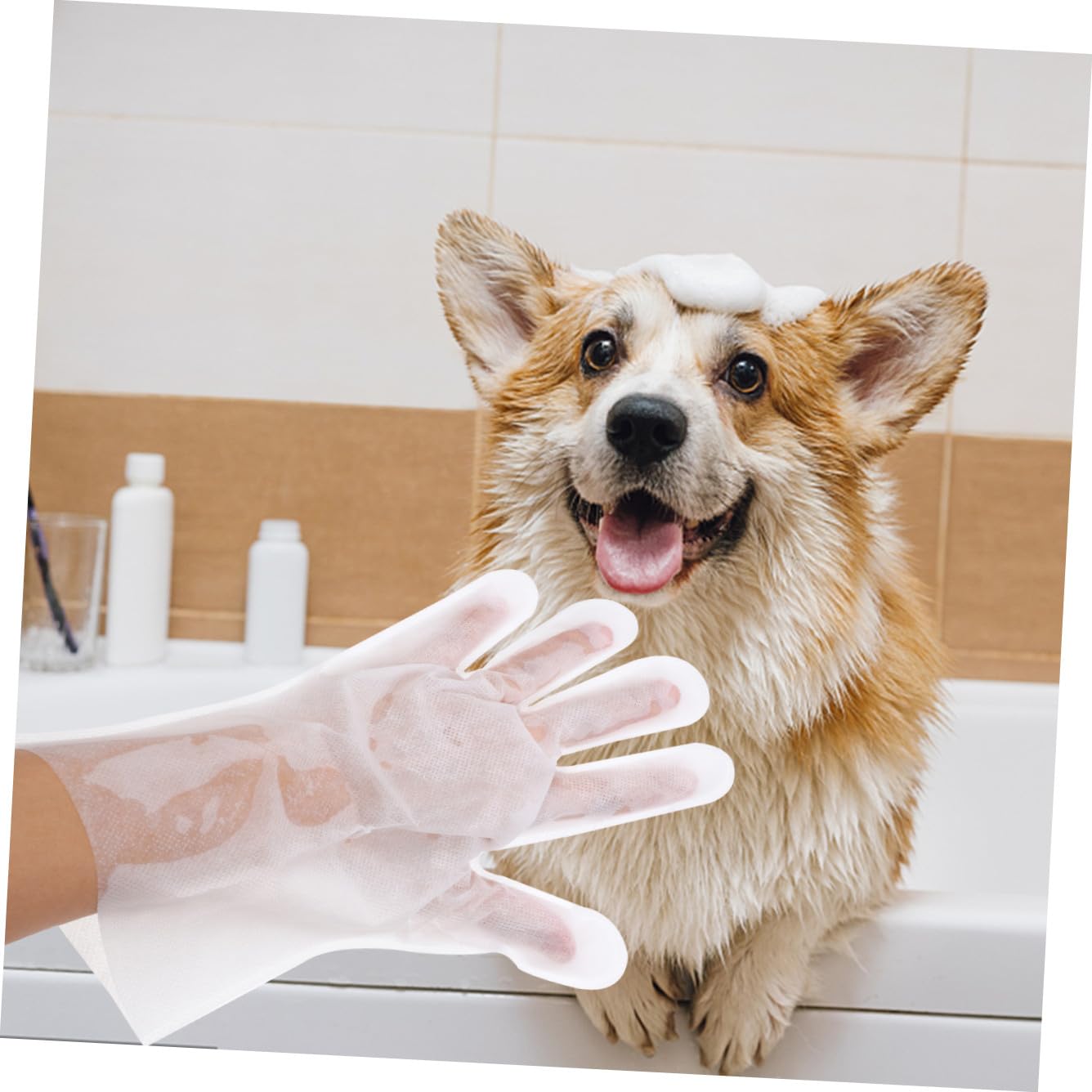 18 Piezas Guantes Toallitas Para El Aseo De Mascotas Pelo De Mascota Toallitas Desechables Para Mascotas Toallitas Para Perros Cepillo Depilatorio Tela No Tejida Depilación