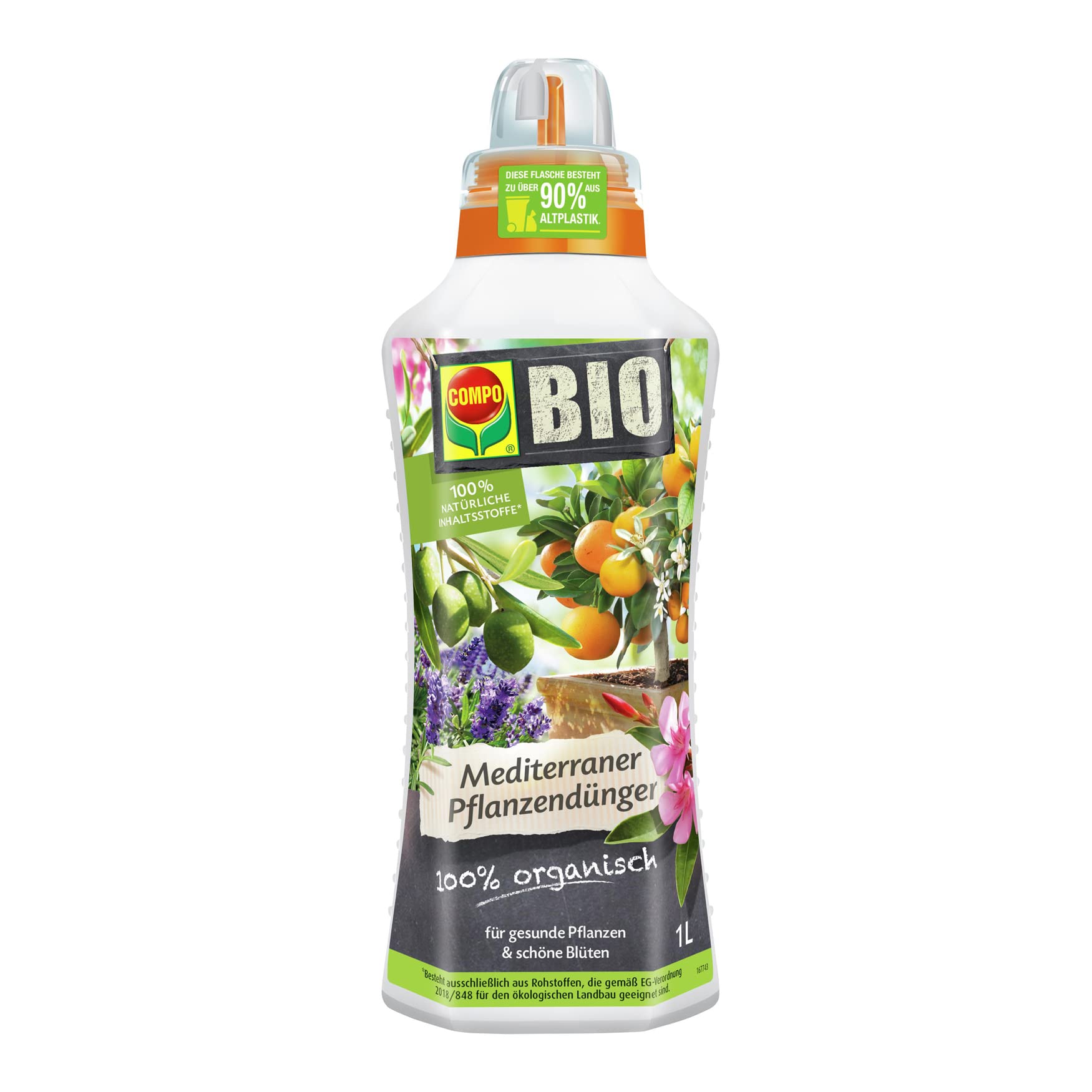 where can i get aloe Aloe Vera Plant For Sale, Full Care Guide & Plant Insights Medium / Eco Pot / Chai main image 0