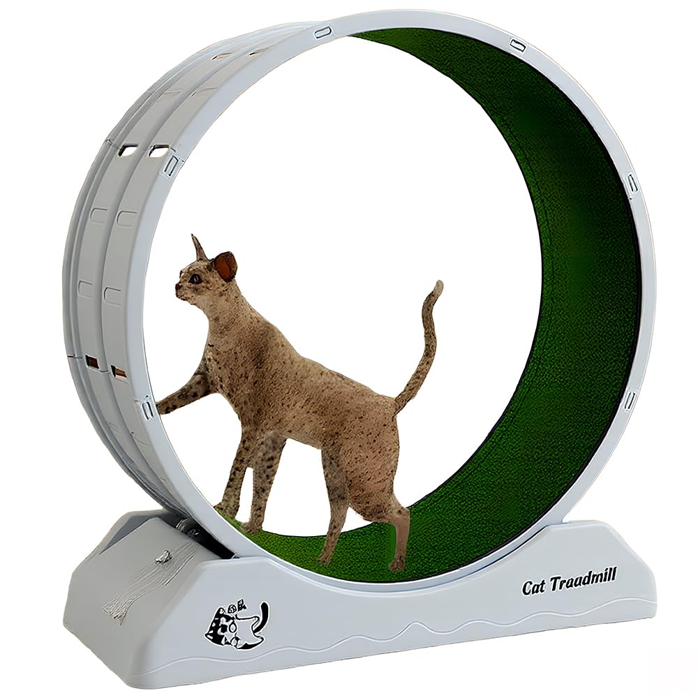 キャットホイール 静音 猫 運動 回し車 大型 直径80cm 日本語説明書付き Amazon.co.jp: キャットホイール 回転ホイール 直径80cm 大型 静音仕様