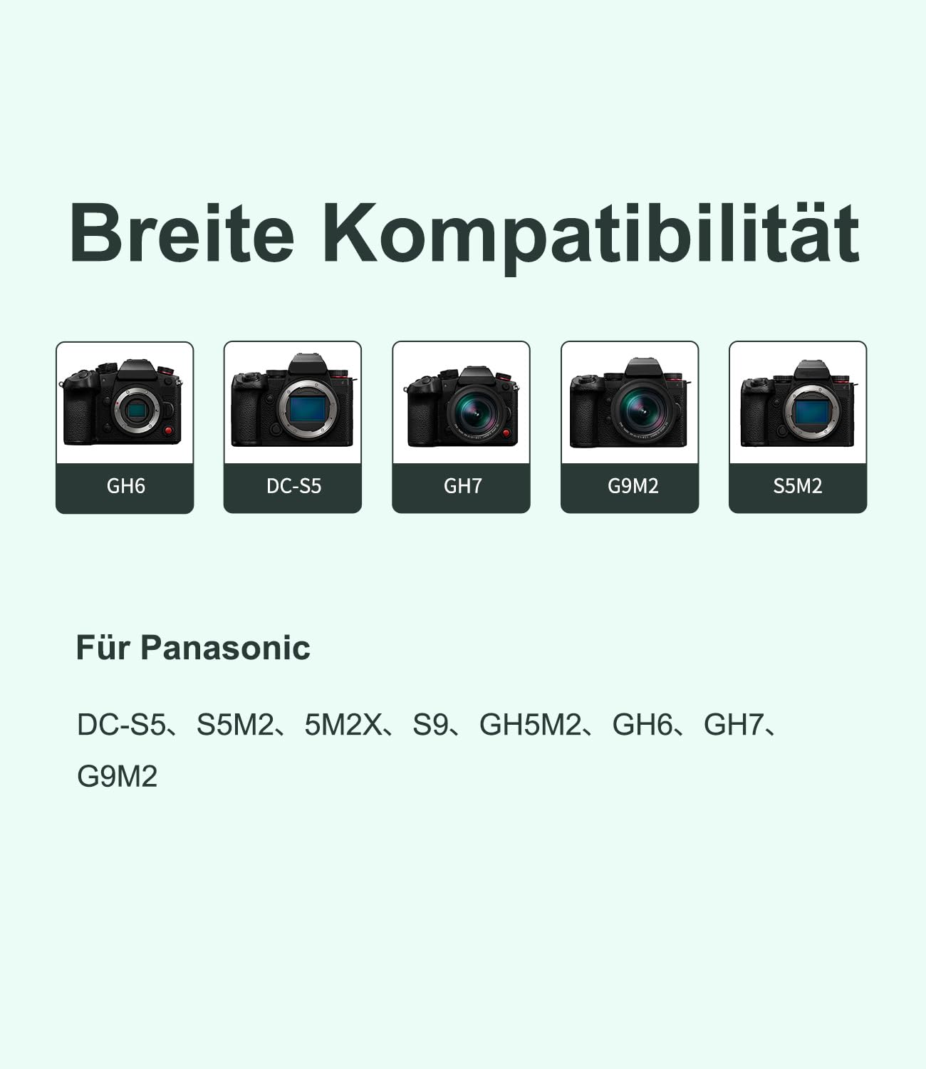 Caricabatterie King Ma DMW-BLK22, caricabatterie per fotocamera a 4 canali, ricarica rapida PD da 45 W con display LED, compatibile con Panasonic DMC-GH5/DMC-GH5S/GH6/DC-S5//DC-G9/DC-S5K/DC-S52X