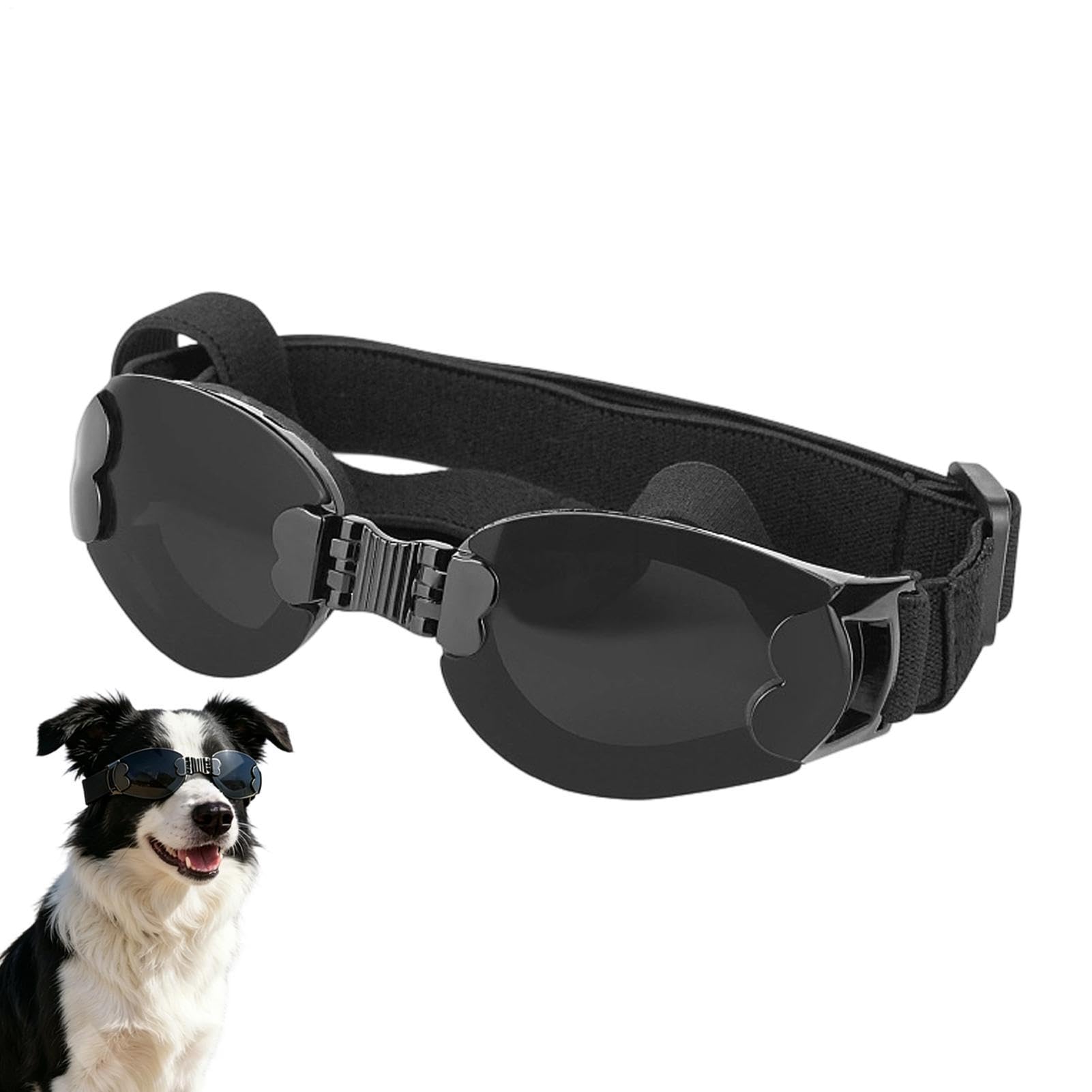Lunettes de pour petit chien avec filtre UV et sangle réglable