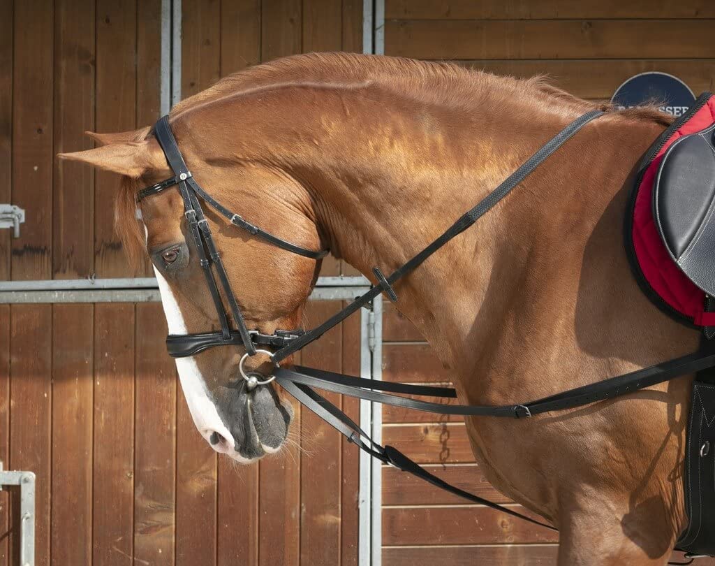 Rênes viennoises Norton Club noir un équipement cheval soigné
