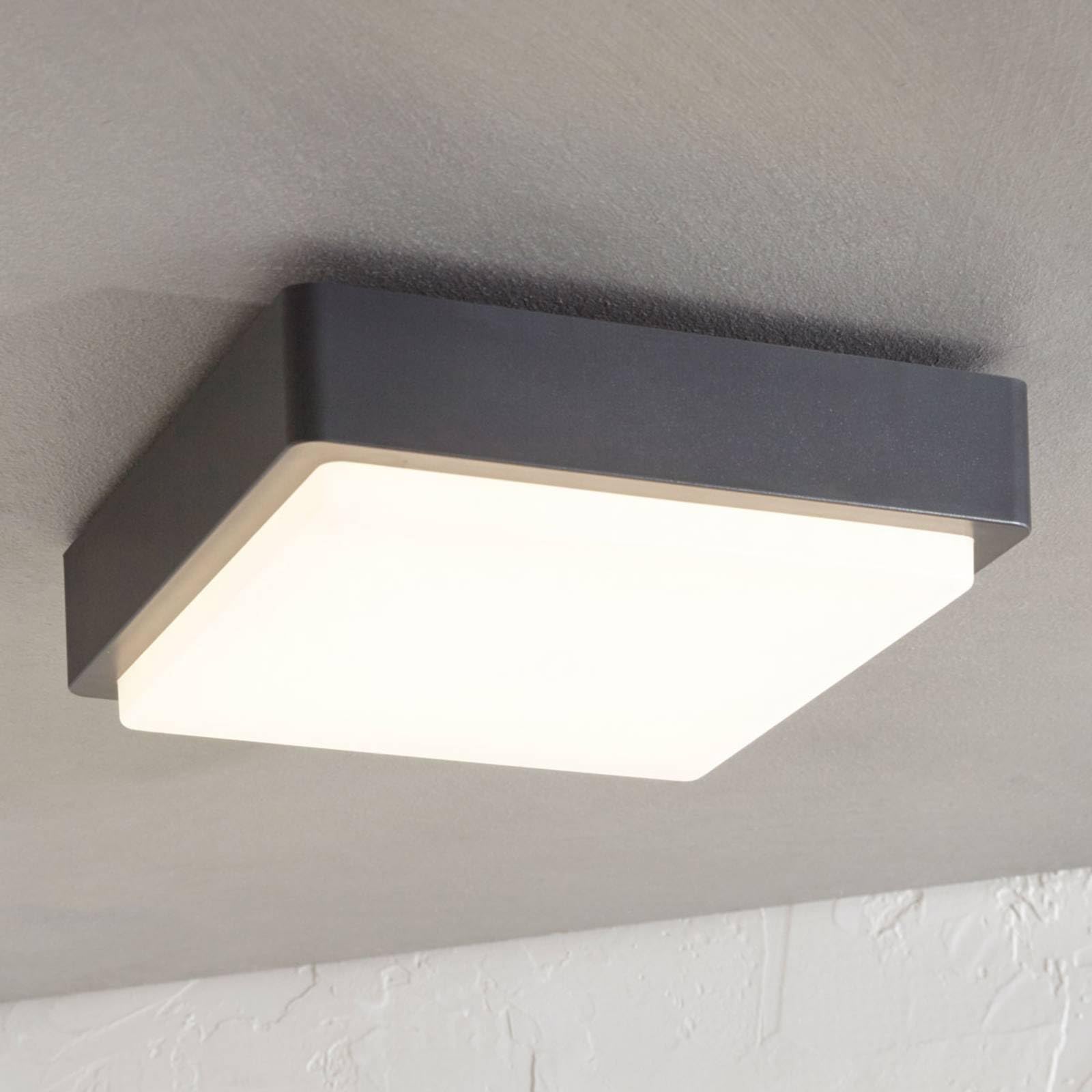 Lindby LED Lámparas de techo Nermin (Moderno) en Negro hecho Plástico (1 llama, lámpara exterior para el jardín, la terraza balcón y vivienda