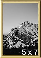 Vista 42 de Frame It Easy Marco de metal rojo de 24 x 36 pulgadas (Hanover)