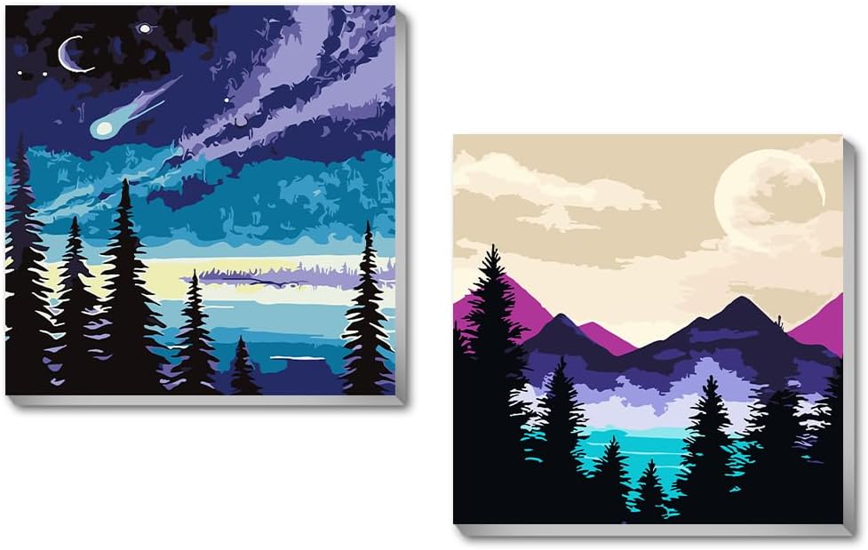 2 Framed DIY Paint by Numbers Kit for Adults Beginner