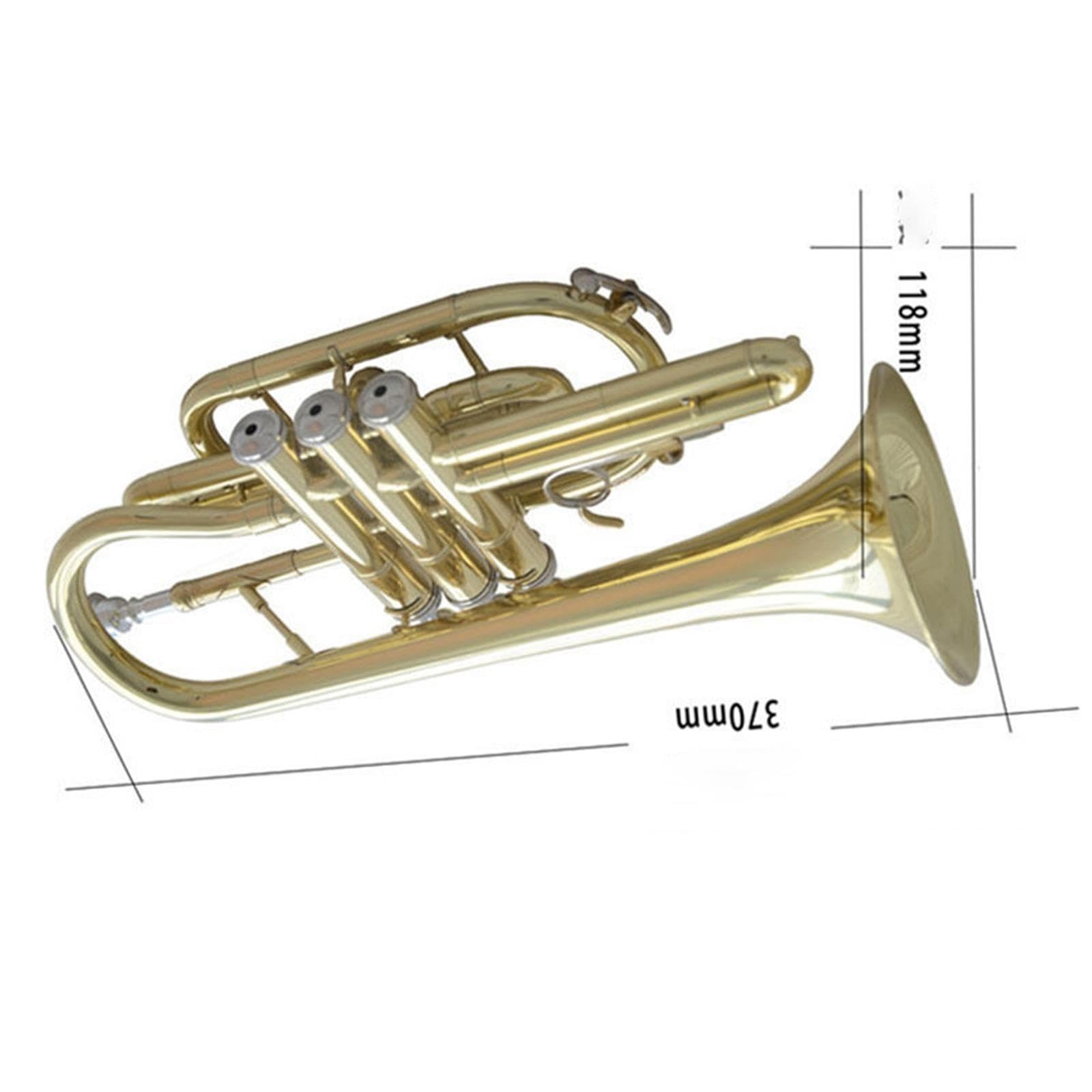Bb Trumpet Professionelles Kornett