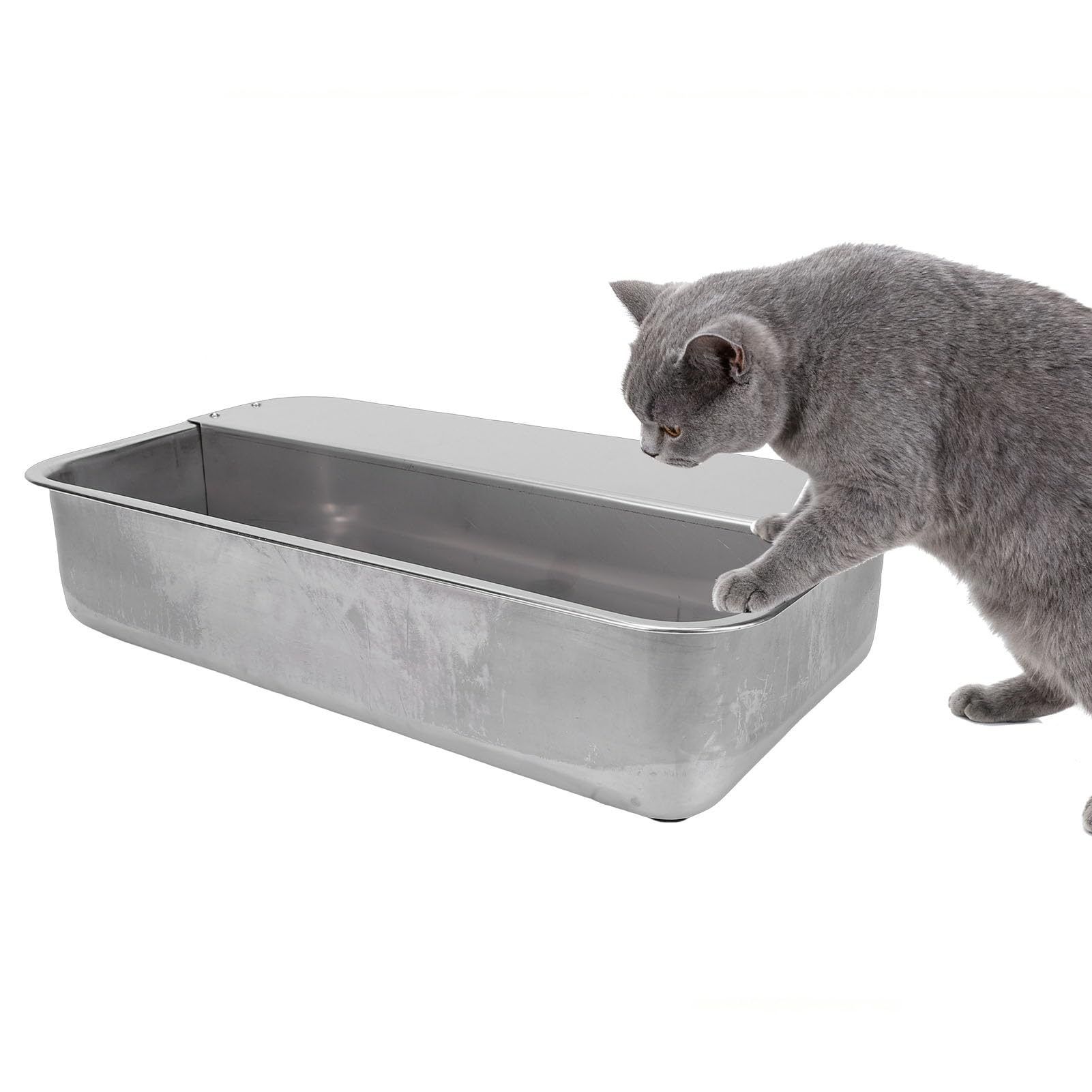 ASHATA Bebedero para Ganado de Acero Inoxidable 304, Solución de Hidratación con Llenado Automático para Perros, Gatos y Animales de Granja, 43 X 22,5 Cm