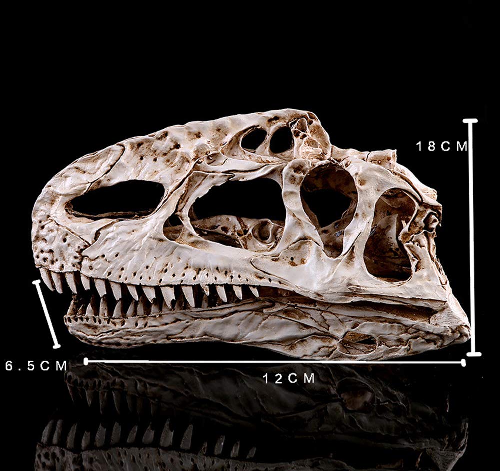 BOLLAER Monolophosaurus Skull, Resin Dinosaur Skull Sculpture - Brown, Handmade, Modern, Halloween Decor