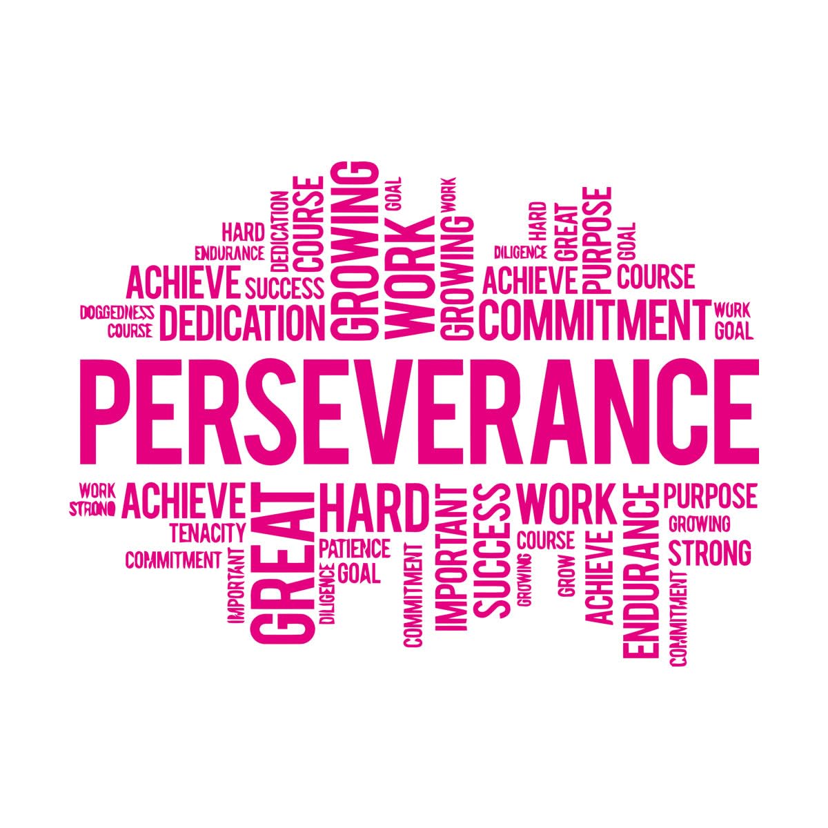 Vinyl Art Sticker Perseverance Office Inspirational Words Letters Business Success Team Work 81x111.5cm Waterproof Extra Large Rosered