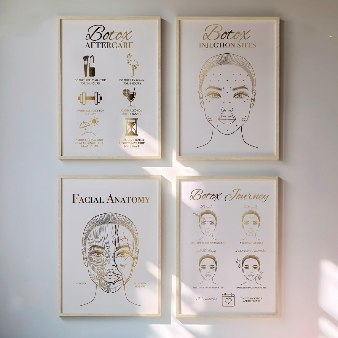 NATVVA Journey Wall Art Set of 4 Aftercare Facial Anatomy Print Sites Anti-Wrinkle Canvas Painting for Beauty Salon Decor With Inner Frame