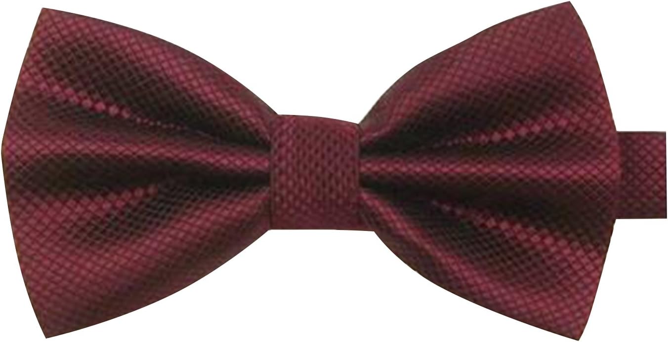 TRENDY XU 2 Pack Men/Boy Necktie Pre-Tied Formal Solid Clip Neckwear Tie