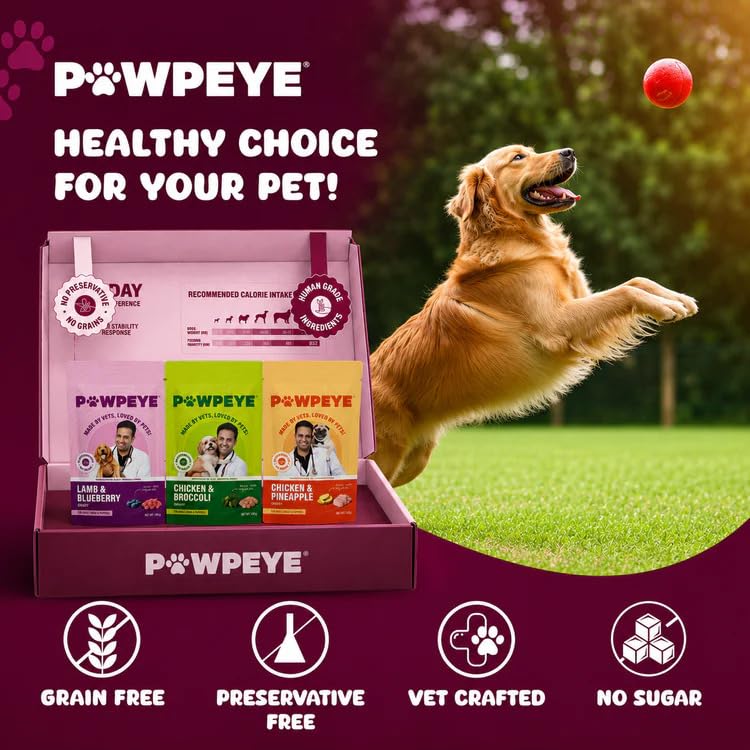 Pawpeye Wet Dog Food Trial Box | 3 x 100g (2 Flavours – Chicken & Lamb) | Gravy for Adult Dogs | Vet-Formulated, Human-Grade, Grain-Free, Preservative-Free, 100% Natural