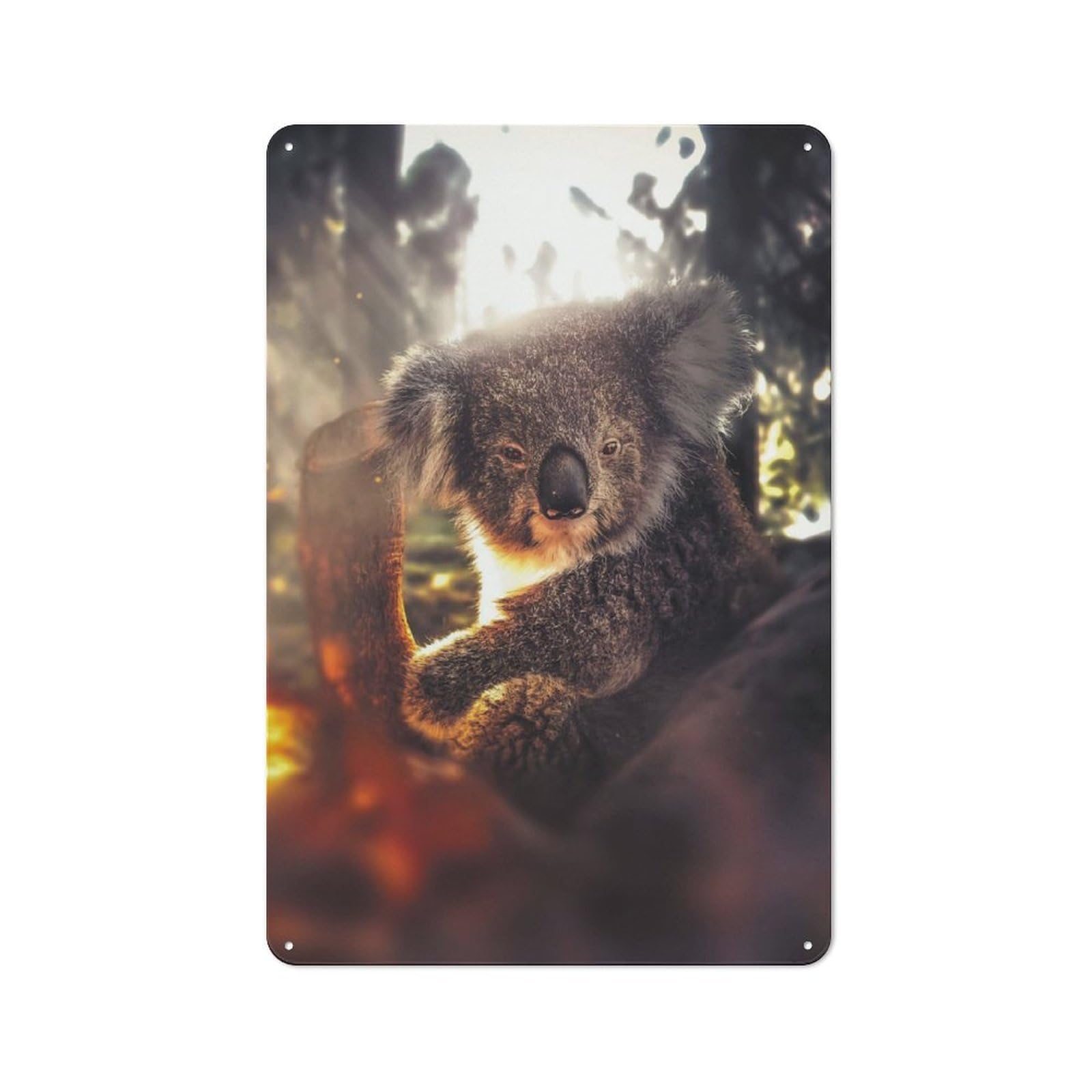 Junmoney The Koala Retro Tin Wall Plaque 30X20cm For Dining Room Or Kitchen, For Home Decor Collectors