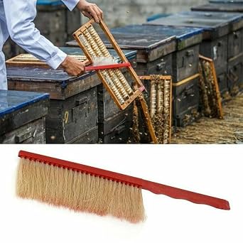 10 Pcs Beekeeping Tool Kit, BeeKeeper Equipment Beehive with Bee Smoker Bee Brush Hive Tool Queen Catcher and More Beekeeping Supplies for Beginners