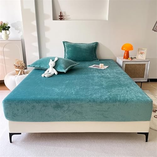 Yashe Haowu ~p{bNXV[c _u 3_Zbg n~Ntl _uʂӂӂg xۉ n Yh~SS RۖhL ÓdCh~ 􂦂 }bgXJo[