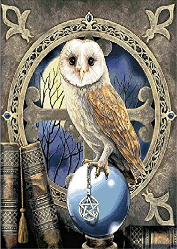 TianMai Hot New DIY 5D Diamond Painting Kit Crystals Diamond Embroidery Rhinestone Painting Pasted Paint by Number Kits Stitch Craft Kit Home Decor Wall Sticker - Owl and Moon, 30x40cm