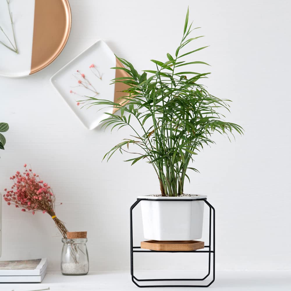 DFGHNBVC Ceramic Flower Plant Pot With Stand - 5 Inch White Indoor Planter Pot With Gold Metal Stand For Herbs Orchids Cacti Succulents,Black
