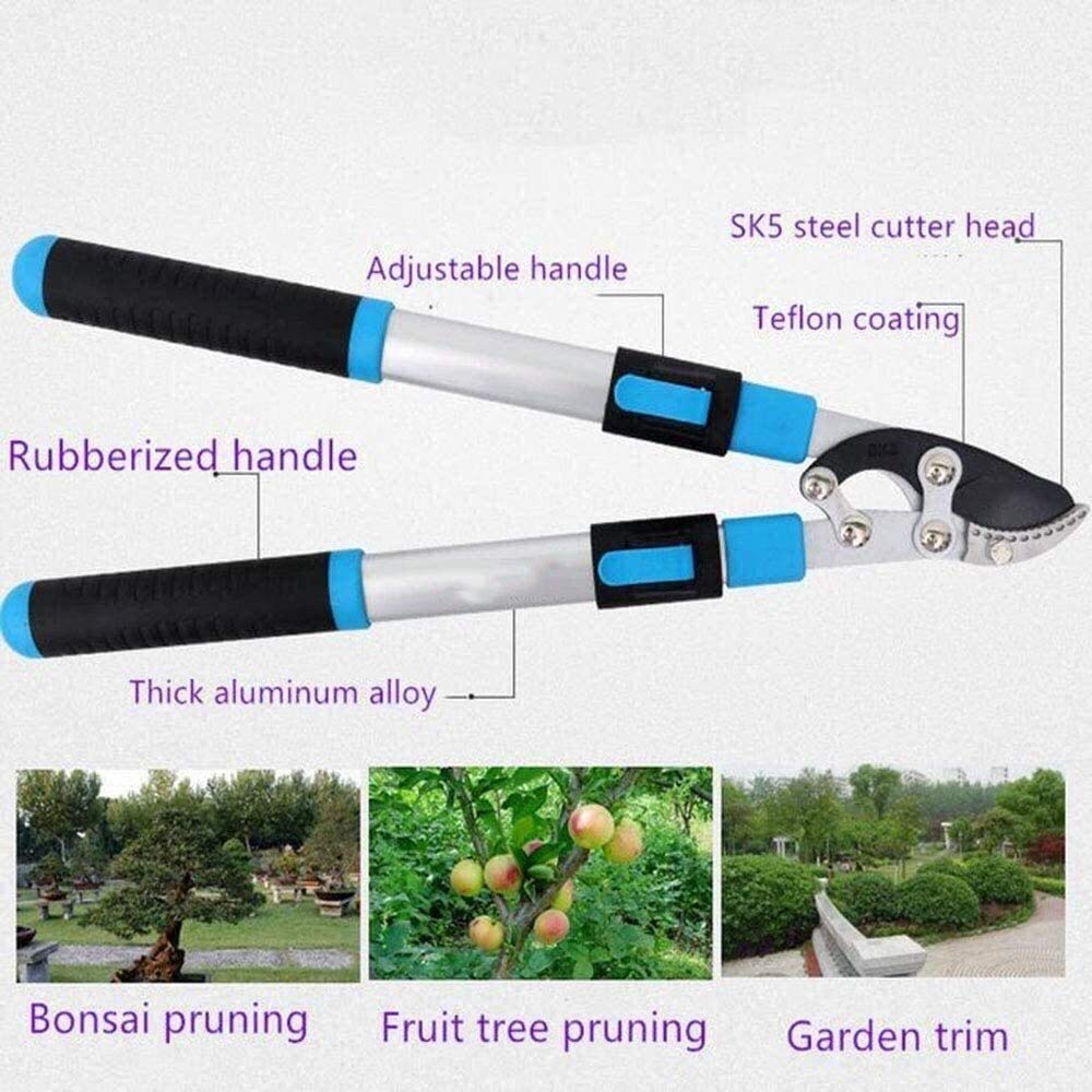 Cesoie da Giardino Cesoie da Potatura Telescopiche, Manico in Alluminio Resistente, Lama Affilata in Carbonio, Strumento di Rifinitura di qualità,