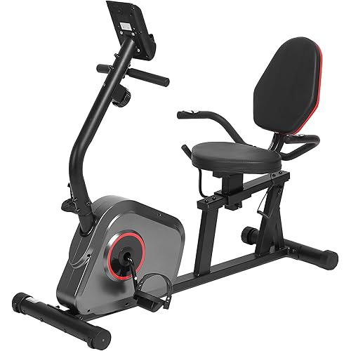 Recumbent Exercise Bike Stationary Bike Exercise Bikes for Home with 8 Levels Magnetic Resistance 300 LBS Weight Capacity LCD Monitor Heart Rate Handle and Device Holder