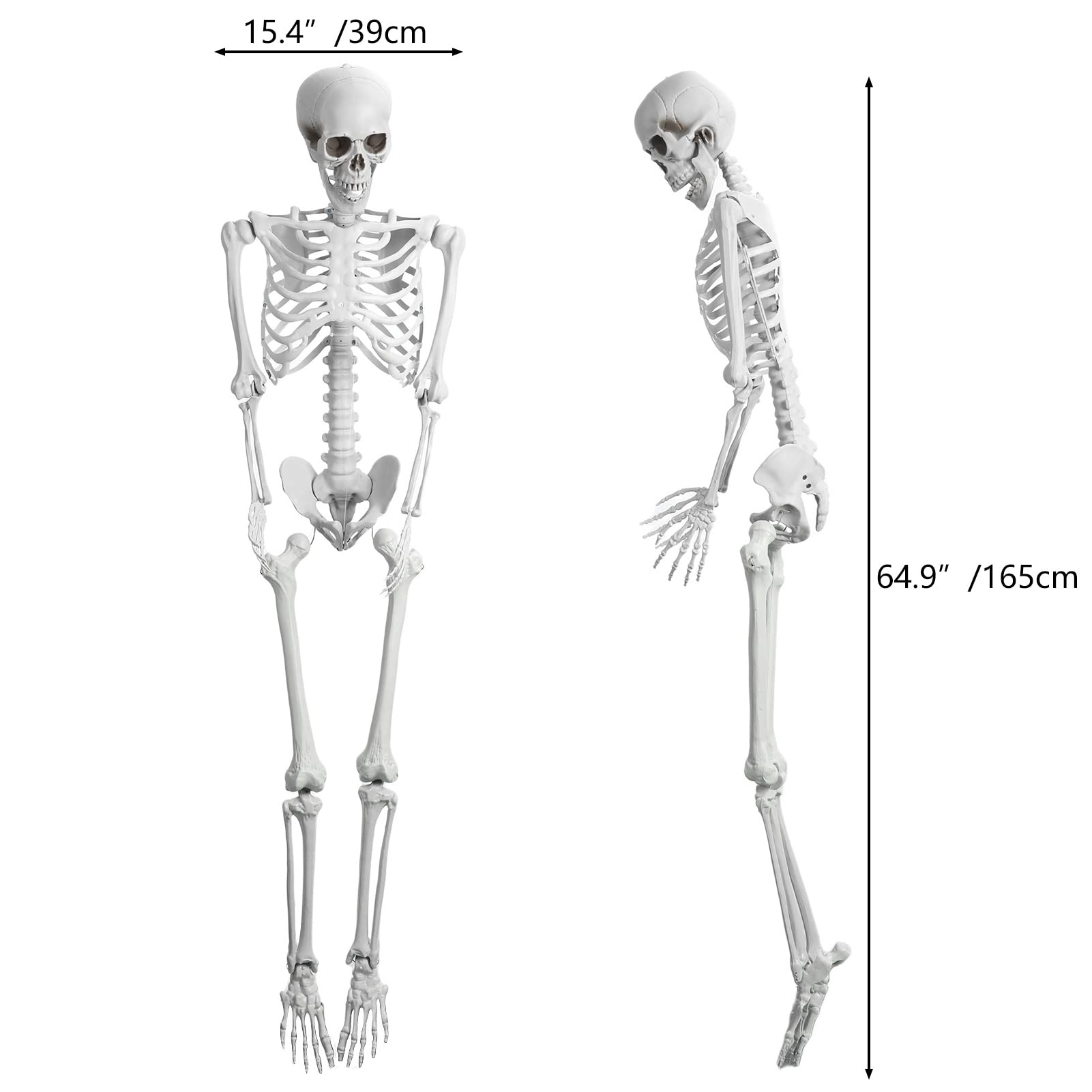 165 cm ludzki szkielet model możliwy szkielet model 165 cm wysokości plastikowe dekoracje szkieletu na Halloween z ruchomymi przegubami do dekoracji wewnątrz i na zewnątrz