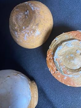 61ZxzsT7IBL._AC_UF350,