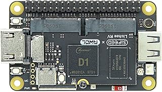 Sipeed RV Dock Allwinner D1 Soc Development Board RISC-V Linux Starter Kit with 16 Bit 512MB DDR3 RAM Onboard WiFi Bluetooth Module Support RV Linux Dual M.2 NGFF B-Key 4.2H