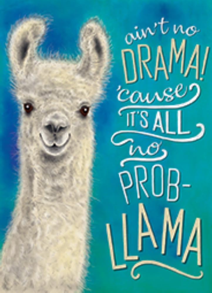 Small (15 x 20 cm) Metal Sign - ain't no DRAMA 'cause it's all no prob-LLAMA, Multicolour