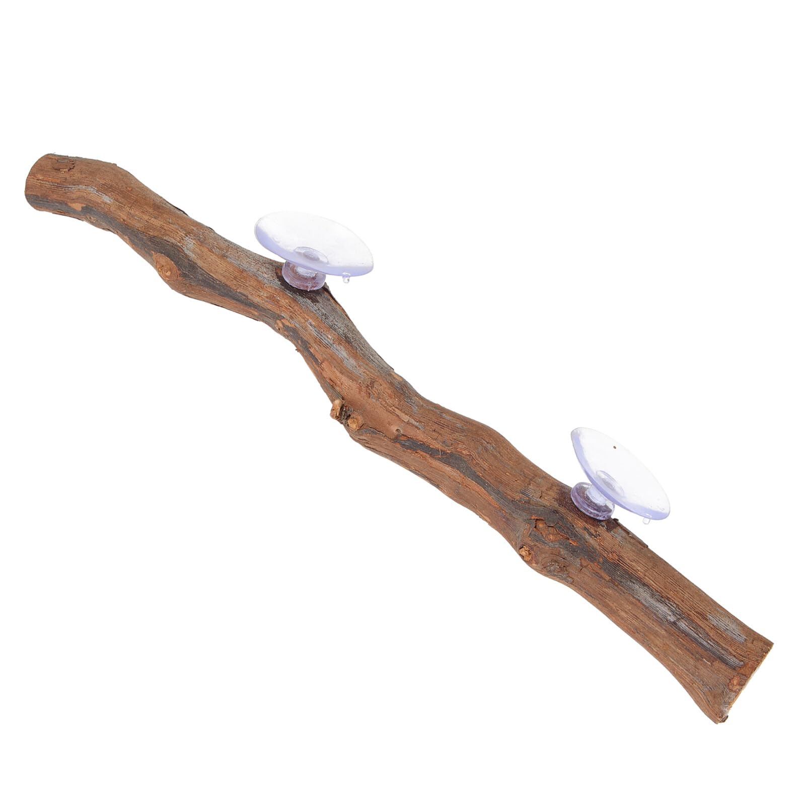 VANZACK Accessori Per Rettili Supporto in Legno Per Lucertole Decorazione Per Terrario Ramo Per Arrampicarsi Giocattolo Per Terrario Arredo Per Gabbia Esercizio Per Rettili Sviluppo