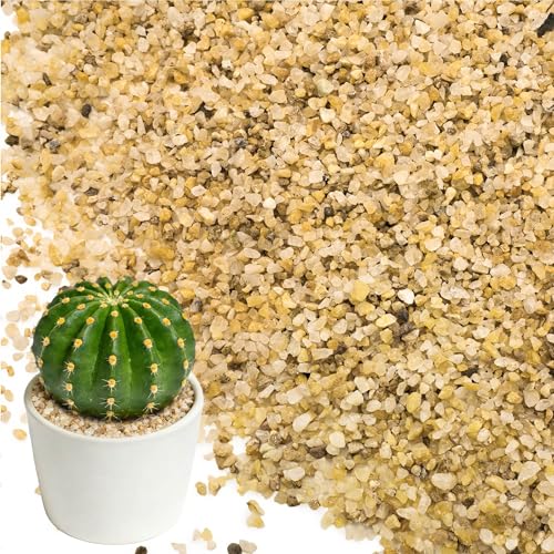 BIOMAND 8LB 1-2mm Horticultural Sand for Succulents and Cactus Soil