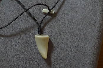 鯨歯3本セット Amazon.co.jp: マッコウクジラ 鯨歯 ボーンカービング 先端部分