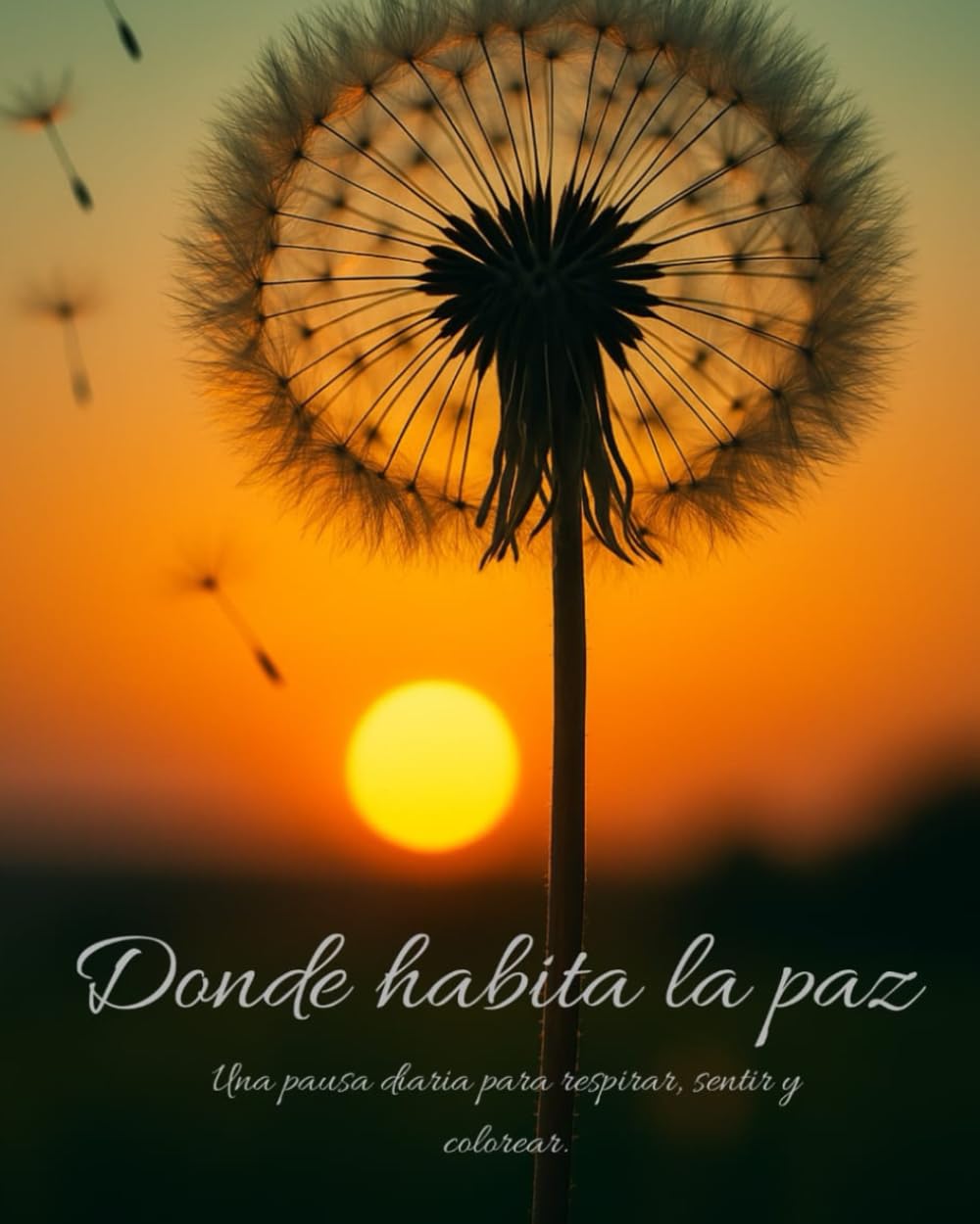 Donde habita la paz: Una pausa diaria para respirar, sentir y colorear.